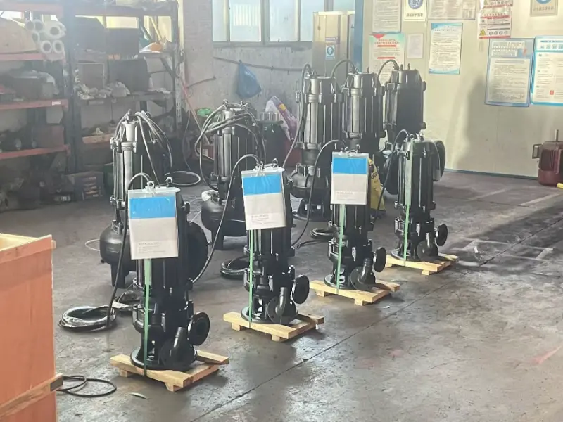 Sewage Pumps